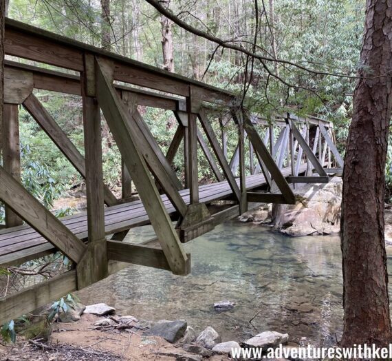 Quebec Run Wild Area- Mill Run to Grist Mill Loop Hike