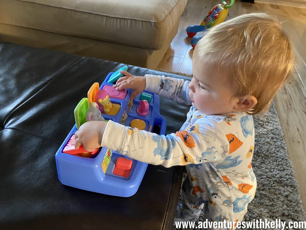 Baby Teething Toys – Fish and Ice Cream Set