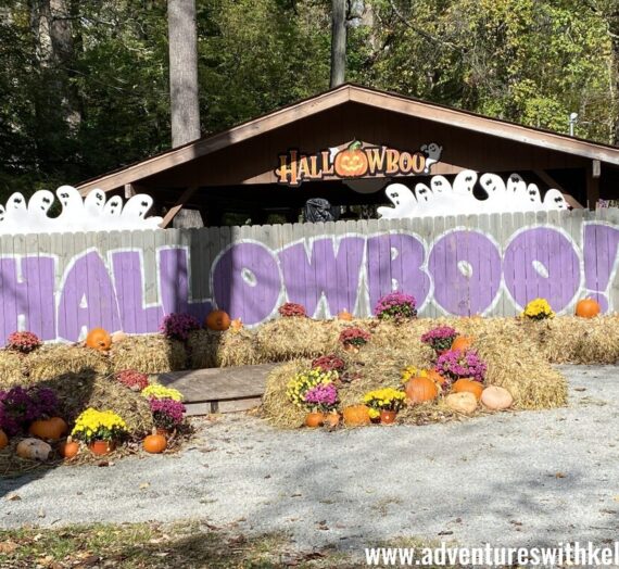 A Closer Look at Idlewild and SoakZone’s Hallowboo